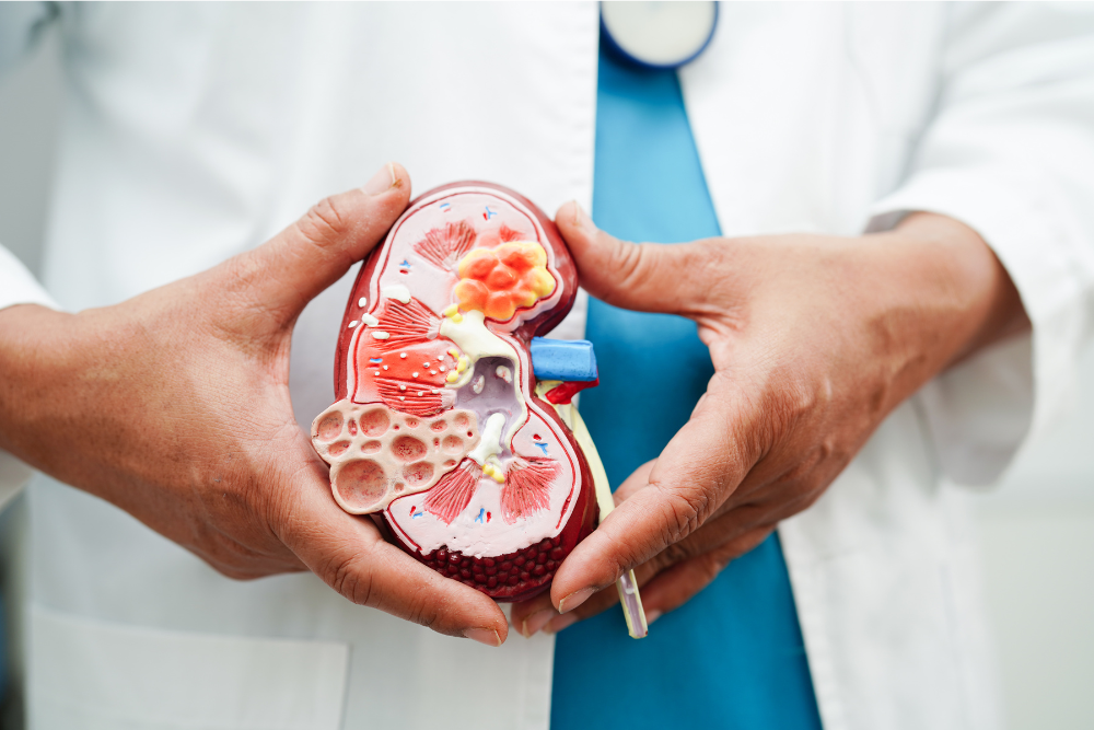 Urology